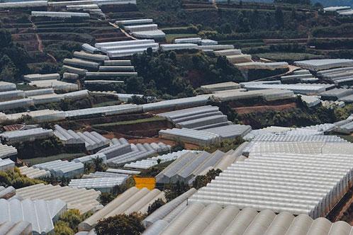 現代化溫室農業監測系統