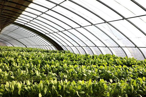 農業園區無線監控