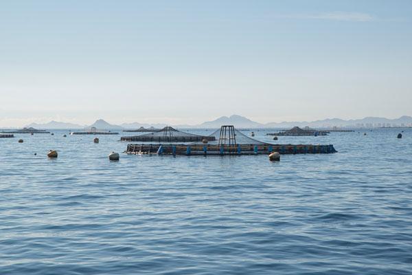 水產養殖無線監控系統