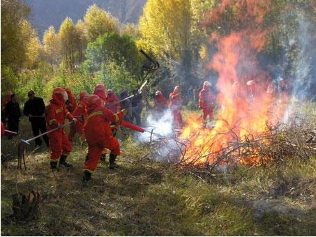 森林防火無線通信解決方案